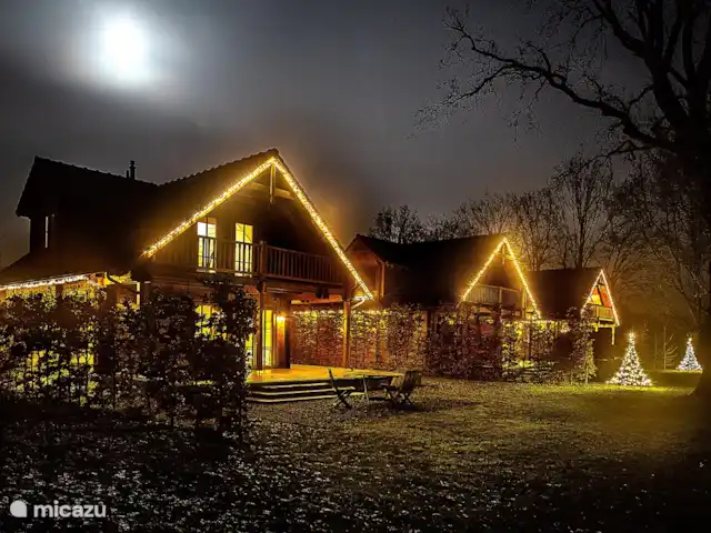 Houten villa Albert huren in Nederland, Overijssel, Den Ham - vakantiehuis kerst