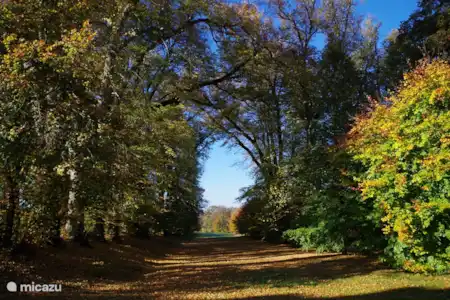 Vakantiehuis Frankrijk, Calvados, Villers-Bocage landhuis / kasteel Chateau de Villers-Bocage bospad