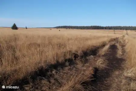 Hoge Venen, Natuurpark + Signaal van Botrange