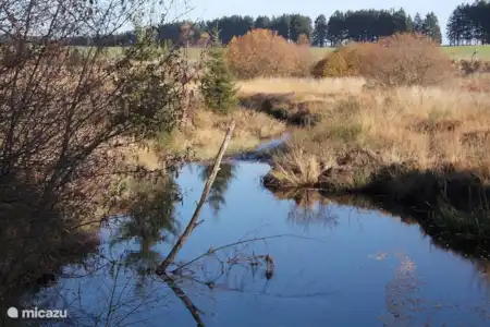 Hoge Venen, Natuurpark + Signaal van Botrange