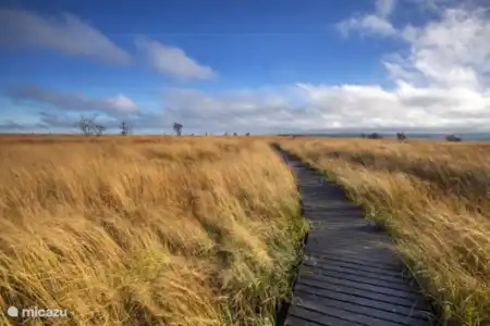 Hoge Venen, Natuurpark + Signaal van Botrange