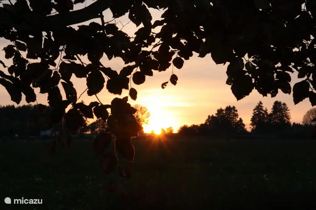 Sonnenuntergang auf der Terrasse