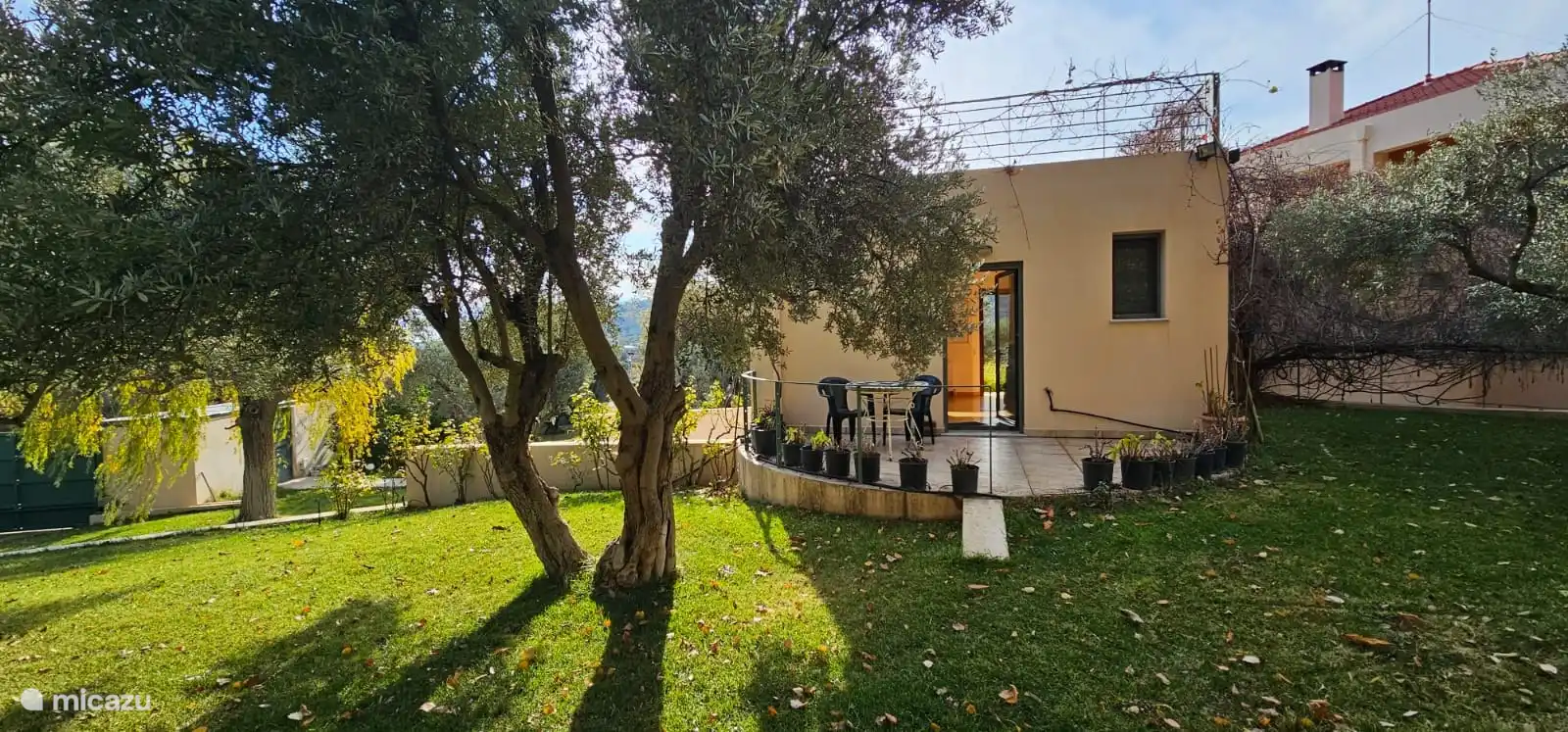 The terrace at the back.