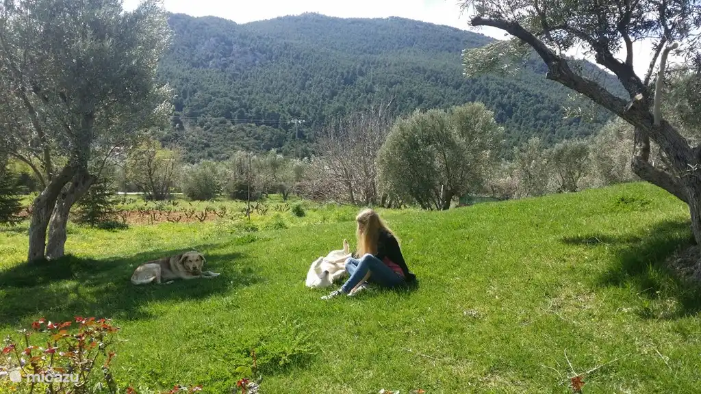 Wonderful relaxing on the grass.