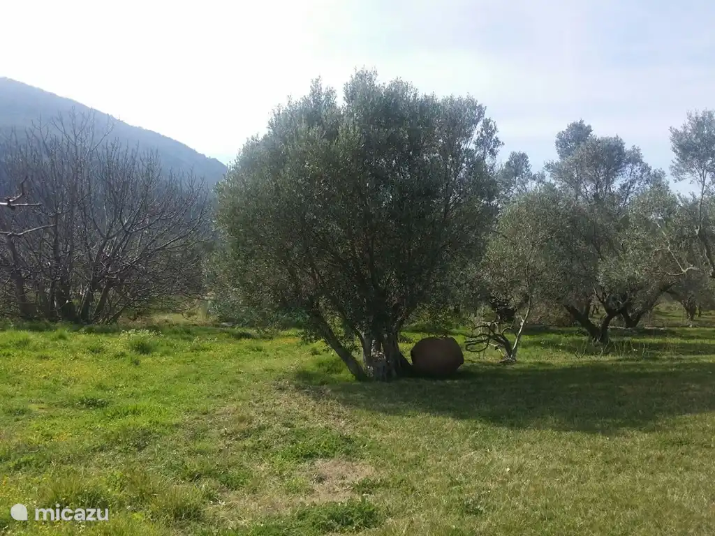 A corner on the estate.