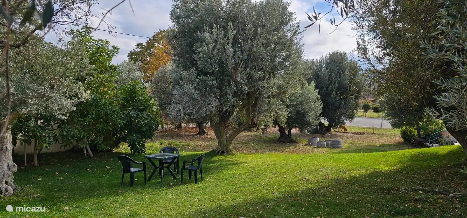 This side of the garden is great for breakfast or for an evening drink.