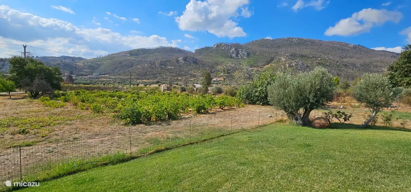 The rural setting only half an hour from Athens!