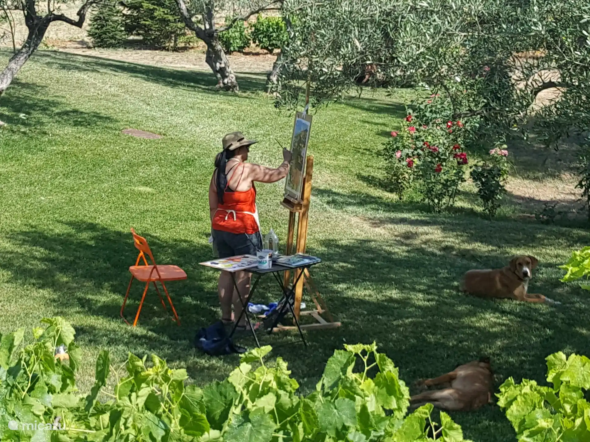 Painting in the garden. Donkeys are available.
