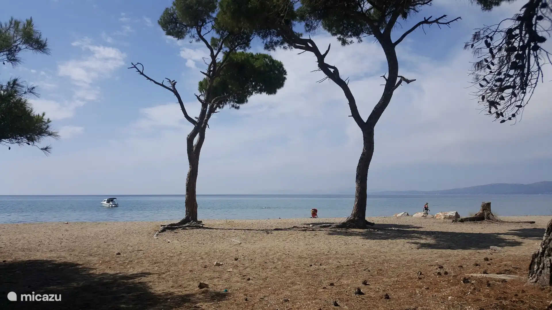 The beach of Schinias where you can sit in natural shade.