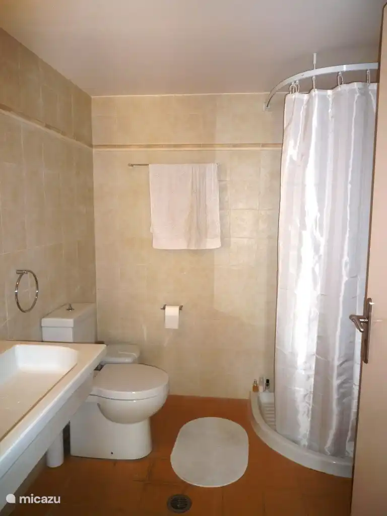 The bathroom of the extra room with the double bed in the basement.