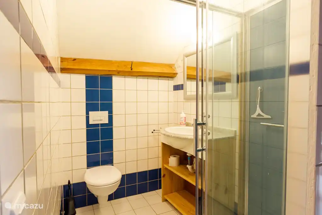 Luxus-Badezimmer mit Toilette und Dusche.