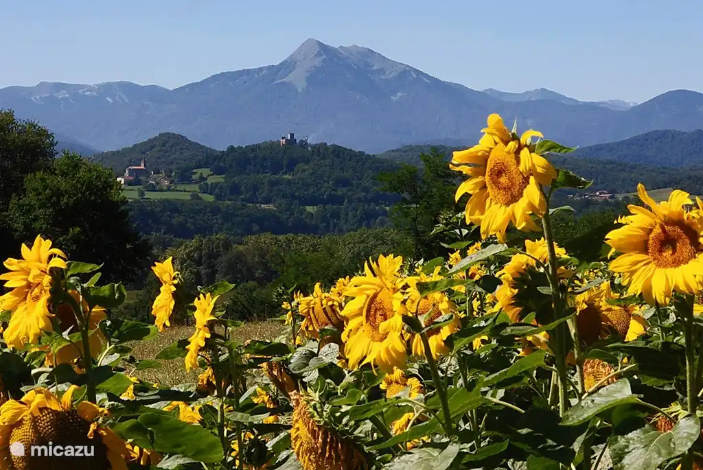 Französische Pyrenäen | Pic du Cagire 1.912 m | Bereich Pyrenäen Leidenschaften