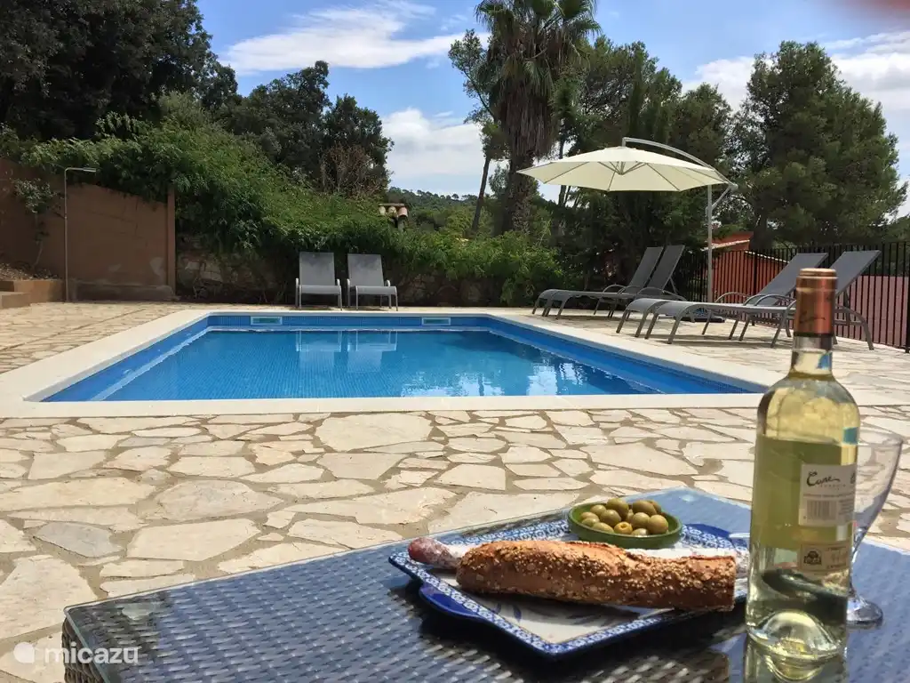 Pool (8x4) mit Außendusche und Privatsphäre.