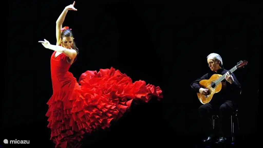 flamenco