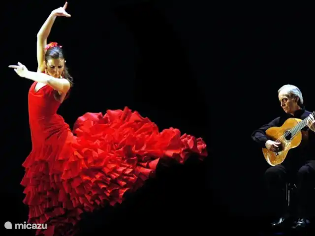 Location de Vacances Espagne, Costa del Sol, Marbella, appartement - Avalon flamenco