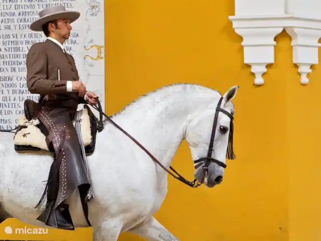 Location de Vacances Espagne, Costa del Sol, Marbella, appartement - Avalon École royale d'équitation de Jerez De La Frontera