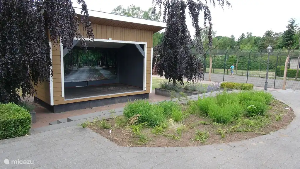 Kinder und voeltbalkooi