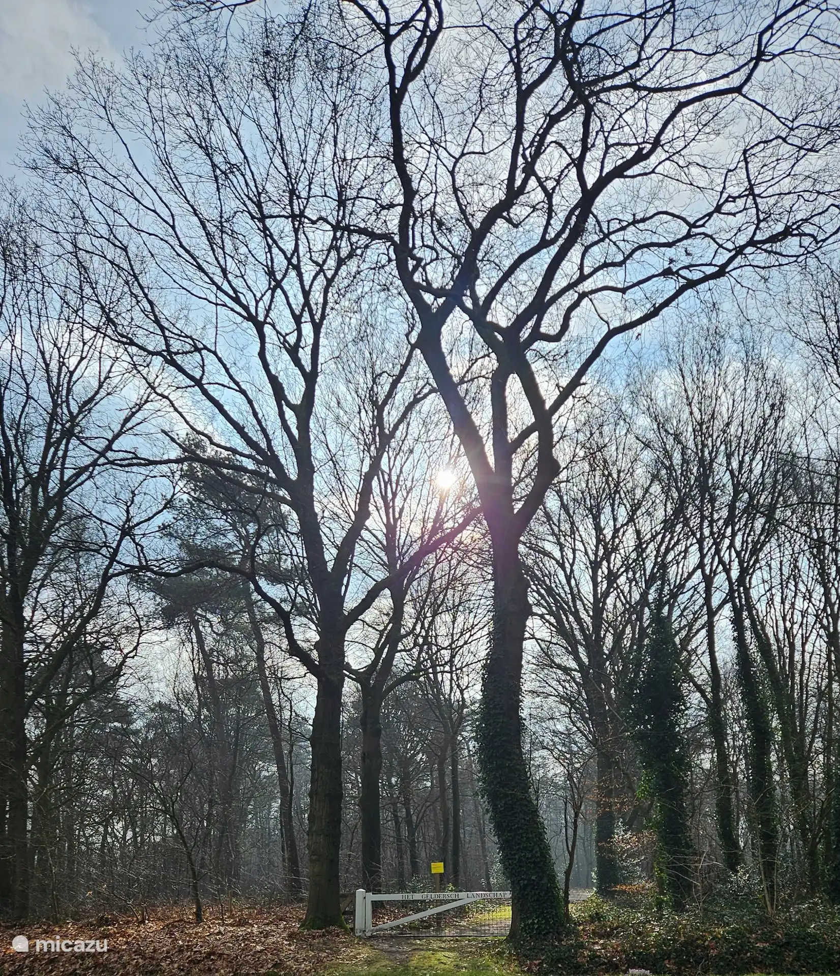 Die Natur um die Ecke.