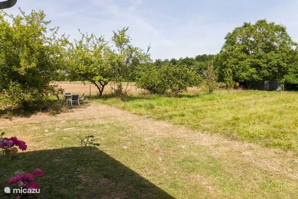 Eingezäunten Hinterhof-Studio.