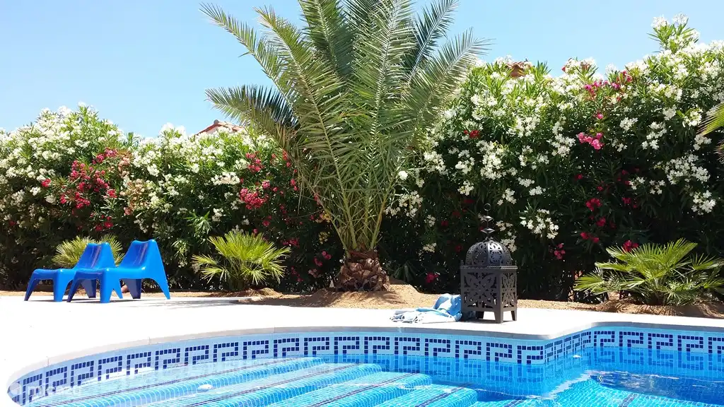 Villa TIBATI Genieten van de geuren en kleuren van de oleanders.