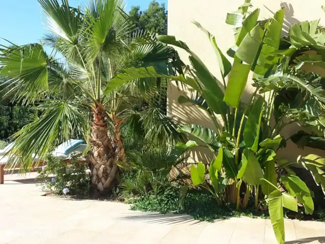 Villa Tibati | Espagne, Costa Dorada, L'Ametlla de Mar - villa Villa TIBATI Plantation tropicale luxuriante, le long des grandes terrasses ensoleillées en pierre naturelle.
