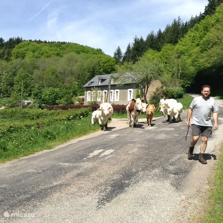 L'Ancienne Ecole in Frankreich, Nièvre, Arleuf - Ferienhaus