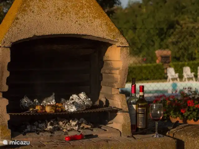 Appartement Ciliegio - Monti 1824 huren in Italië, Toscane, Casole d`Elsa - appartement barbeque Monti 1824 - Casole d'elsa