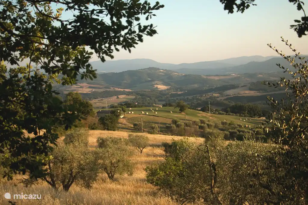 panorama - Monti 1824 - Casole d'elsa