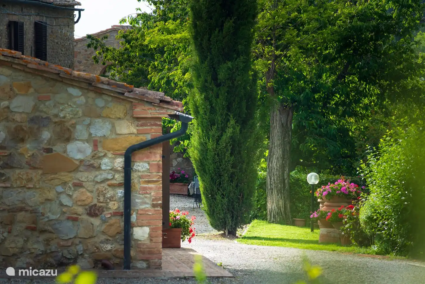 Monti 1824 - Casole d'elsa -