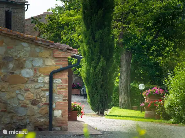 Appartement Ciliegio - Monti 1824 huren in Italië, Toscane, Casole d`Elsa - appartement Monti 1824 - Casole d'elsa  -