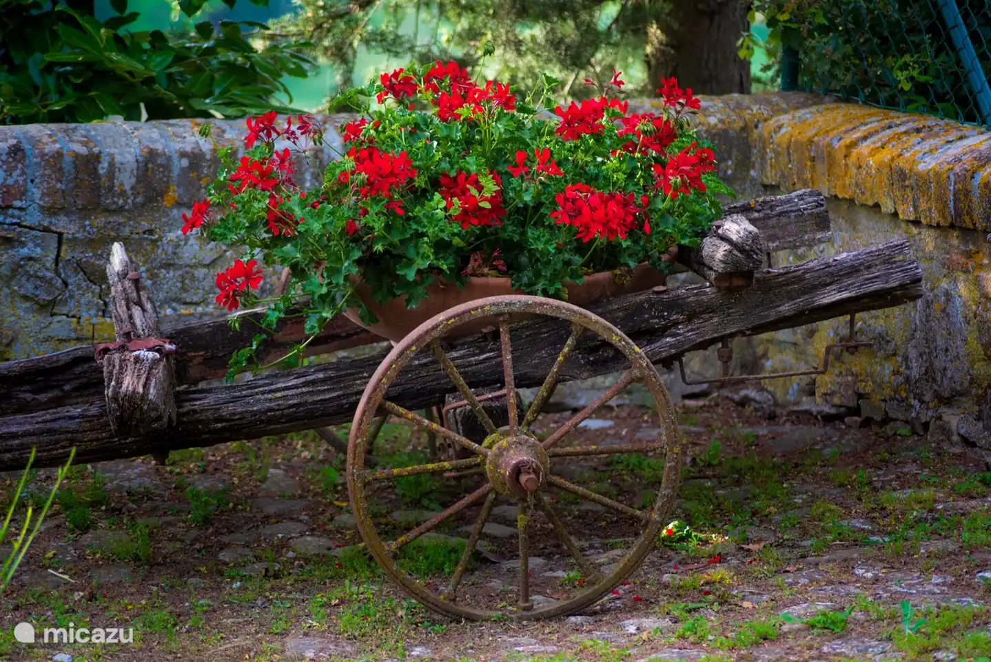 Monti 1824 - Casole d'elsa