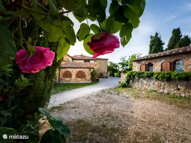 Appartement Ciliegio - Monti 1824 huren in Italië, Toscane, Casole d`Elsa - appartement Monti 1824 - Casole d'elsa