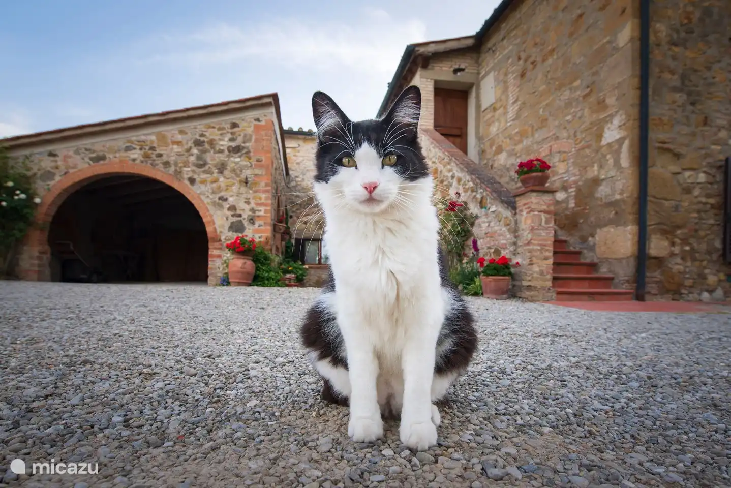 Monti 1824 - Casole d'elsa