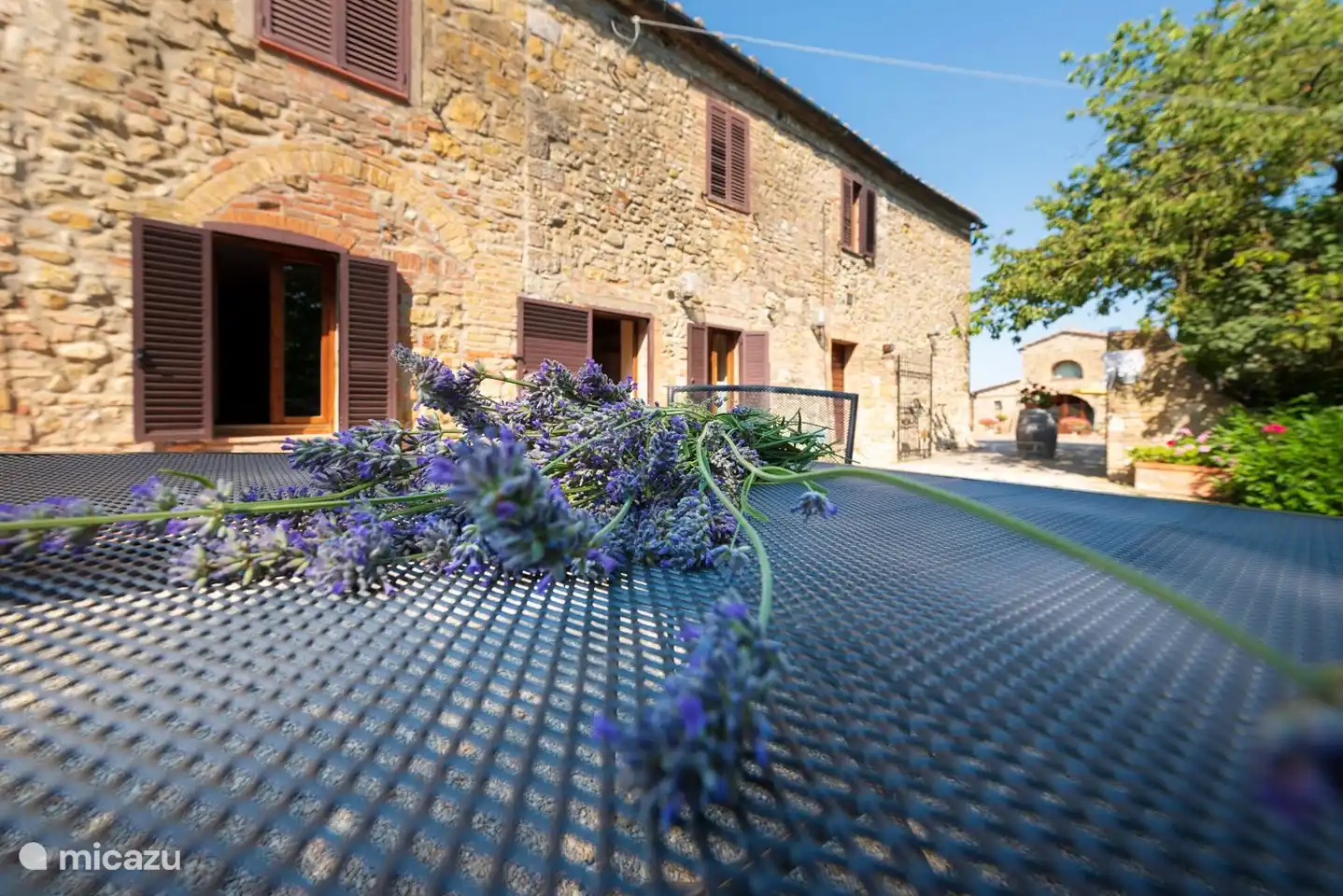 Monti 1824 - Casole d'elsa