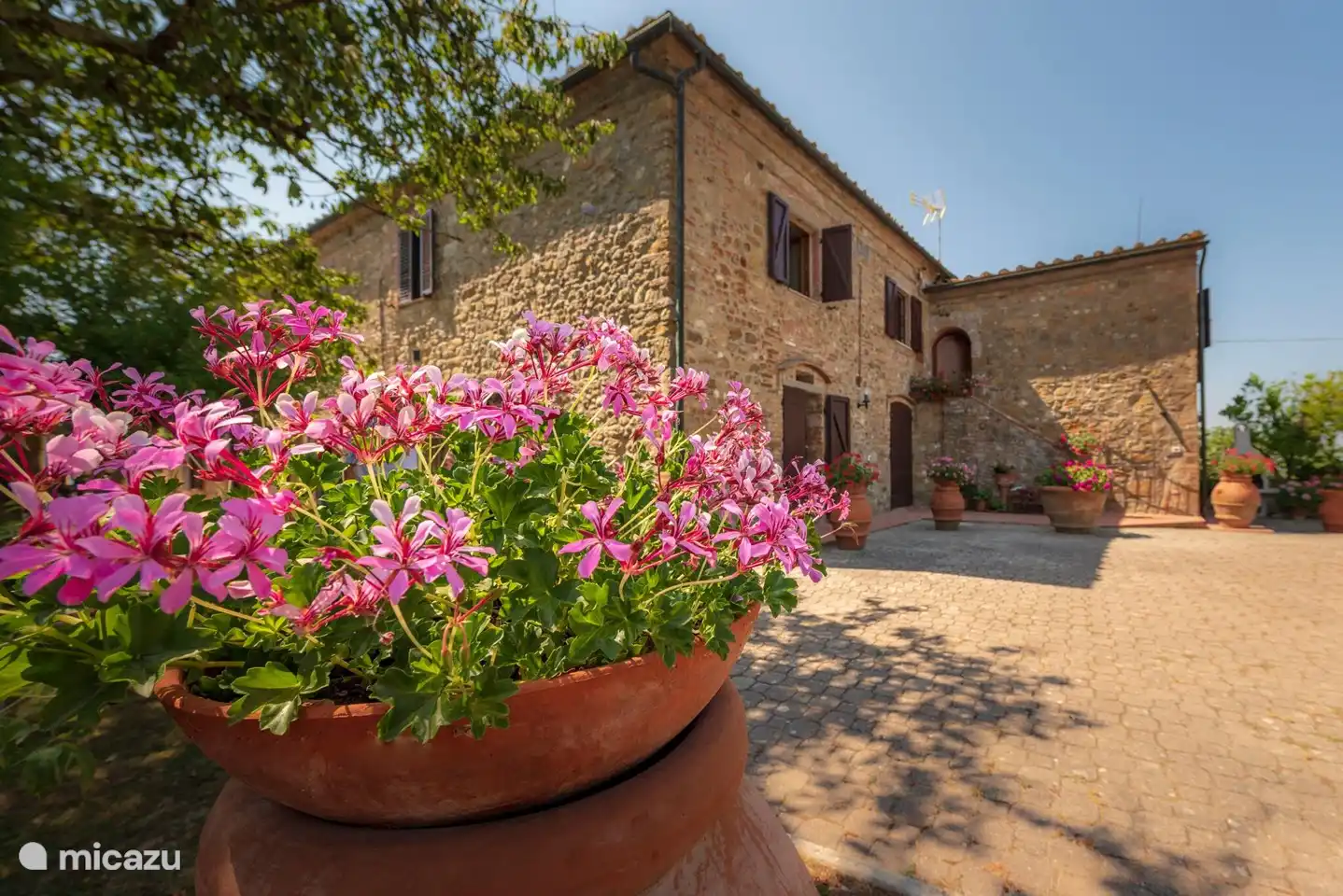 Monti 1824 - Casole d'elsa