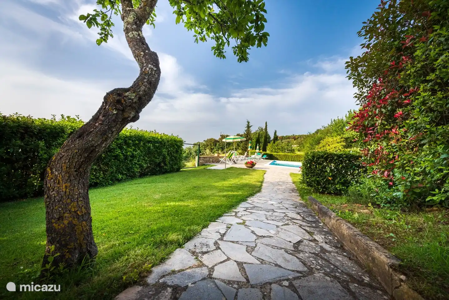 Monti 1824 - Casole d'elsa