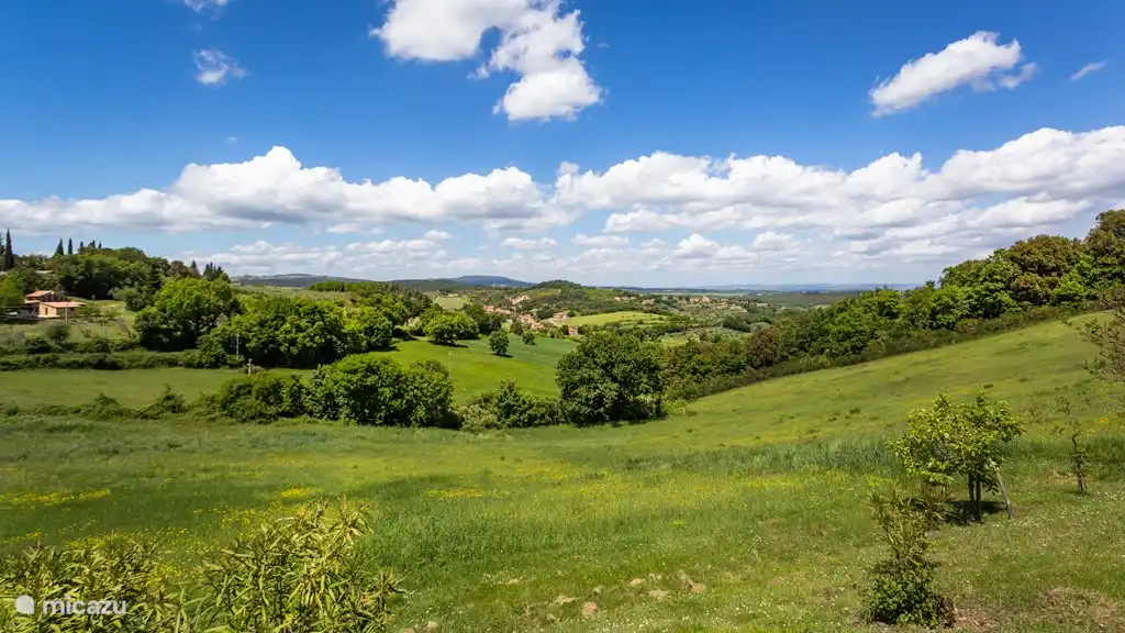 swimming pool Monti 1824 - Casole d'elsa 