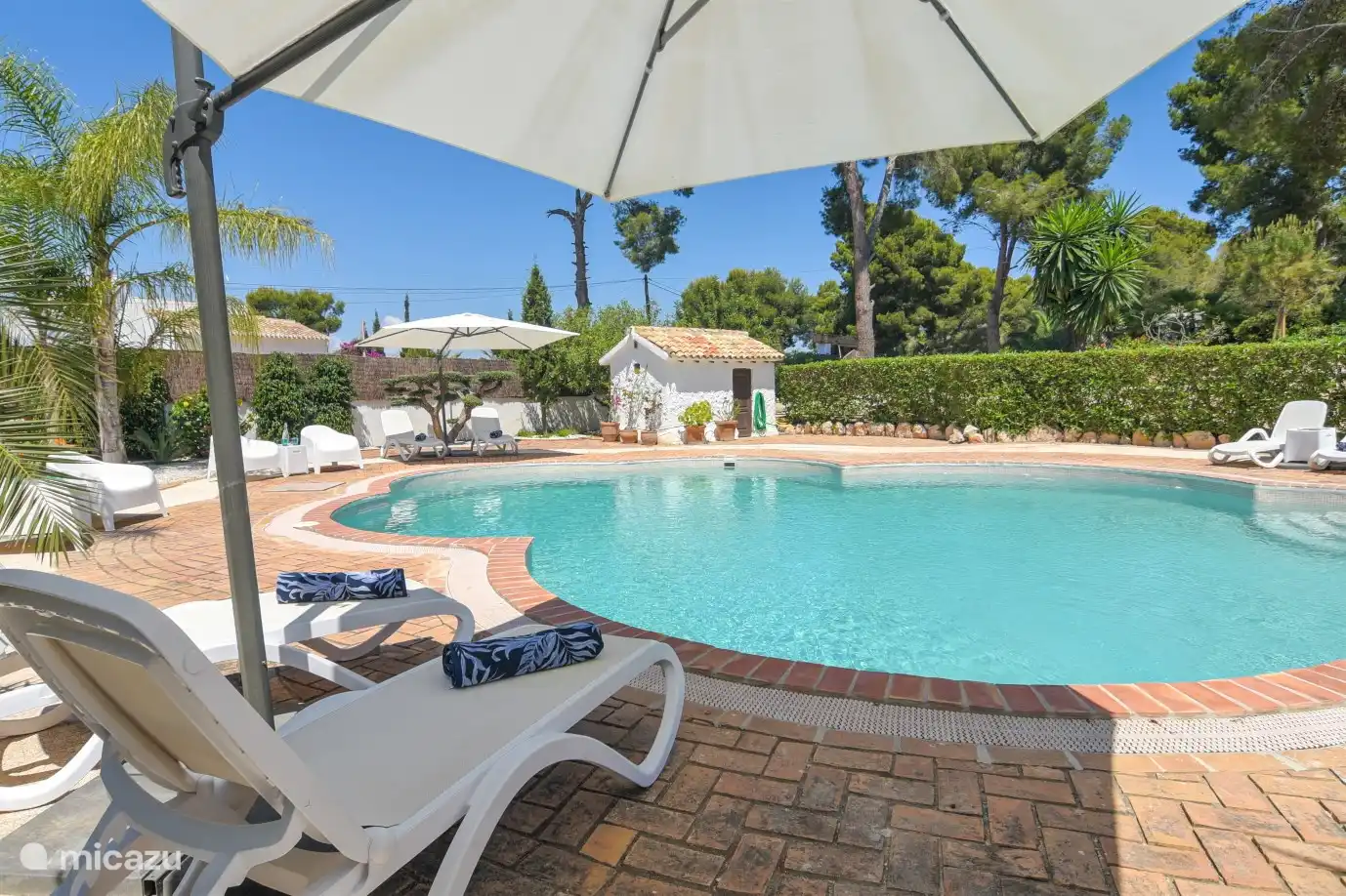 Geräumiger Swimmingpool