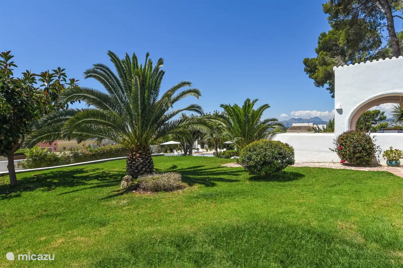 Rasen zwischen Haus und Poolterrasse