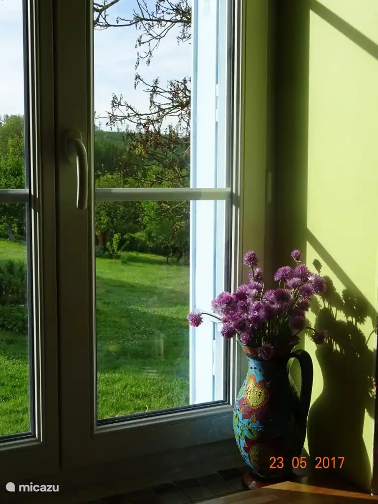 Vue depuis la cuisine