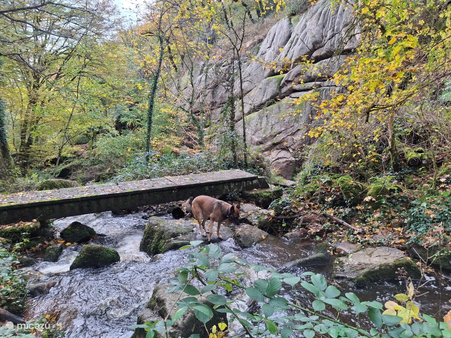 Les gorges de Narvau à Lormes 