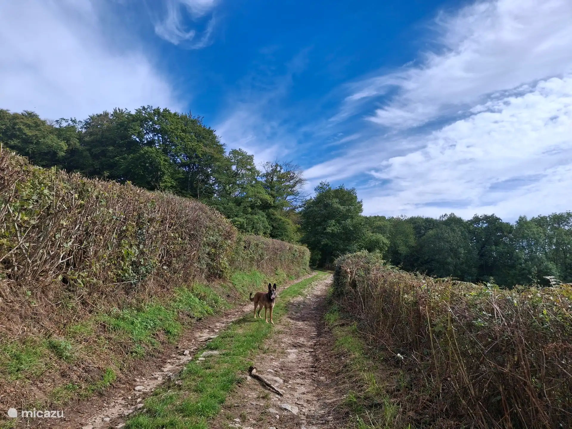 Chemin le long de la maison