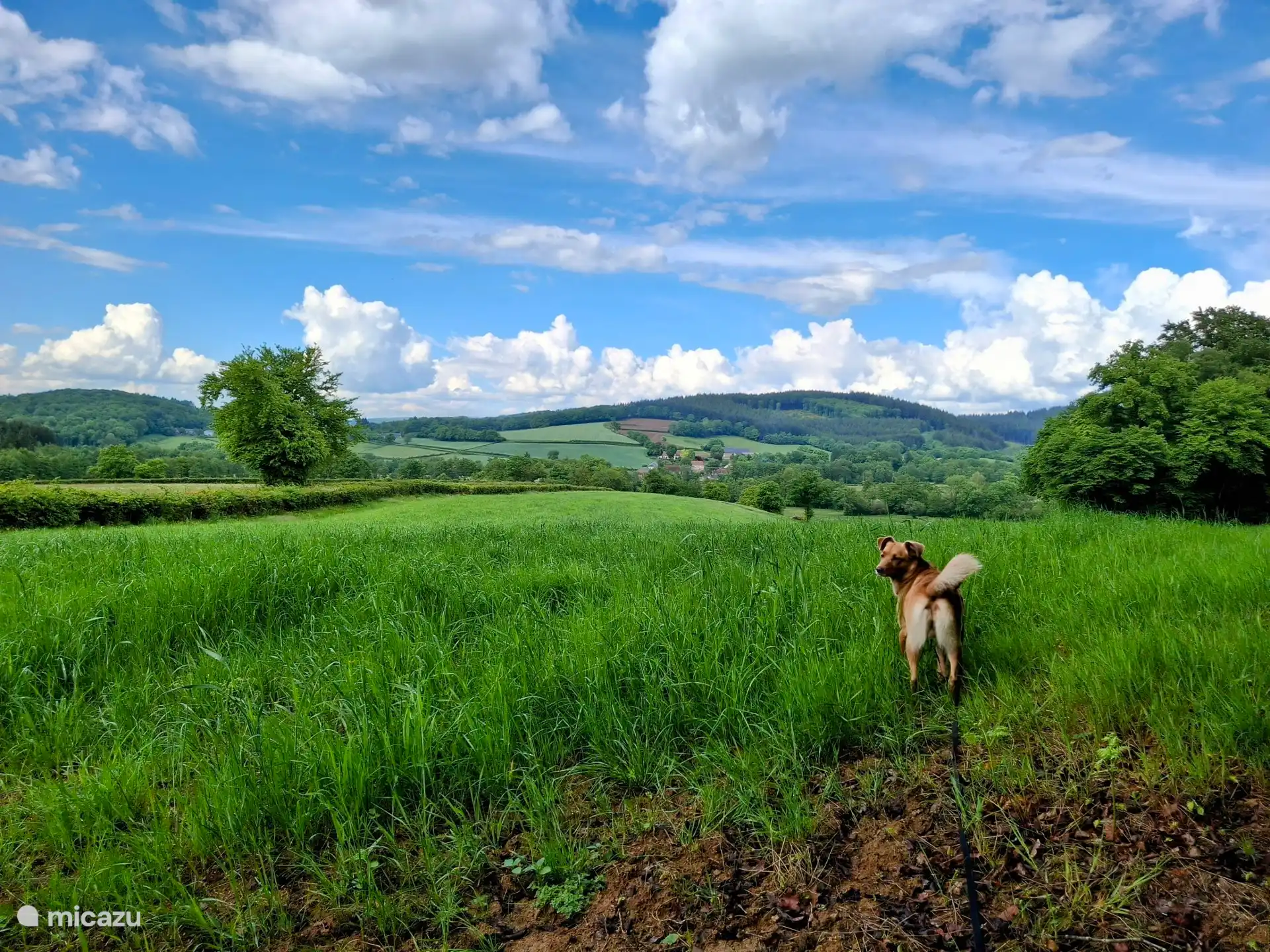 Randonnée dans la région