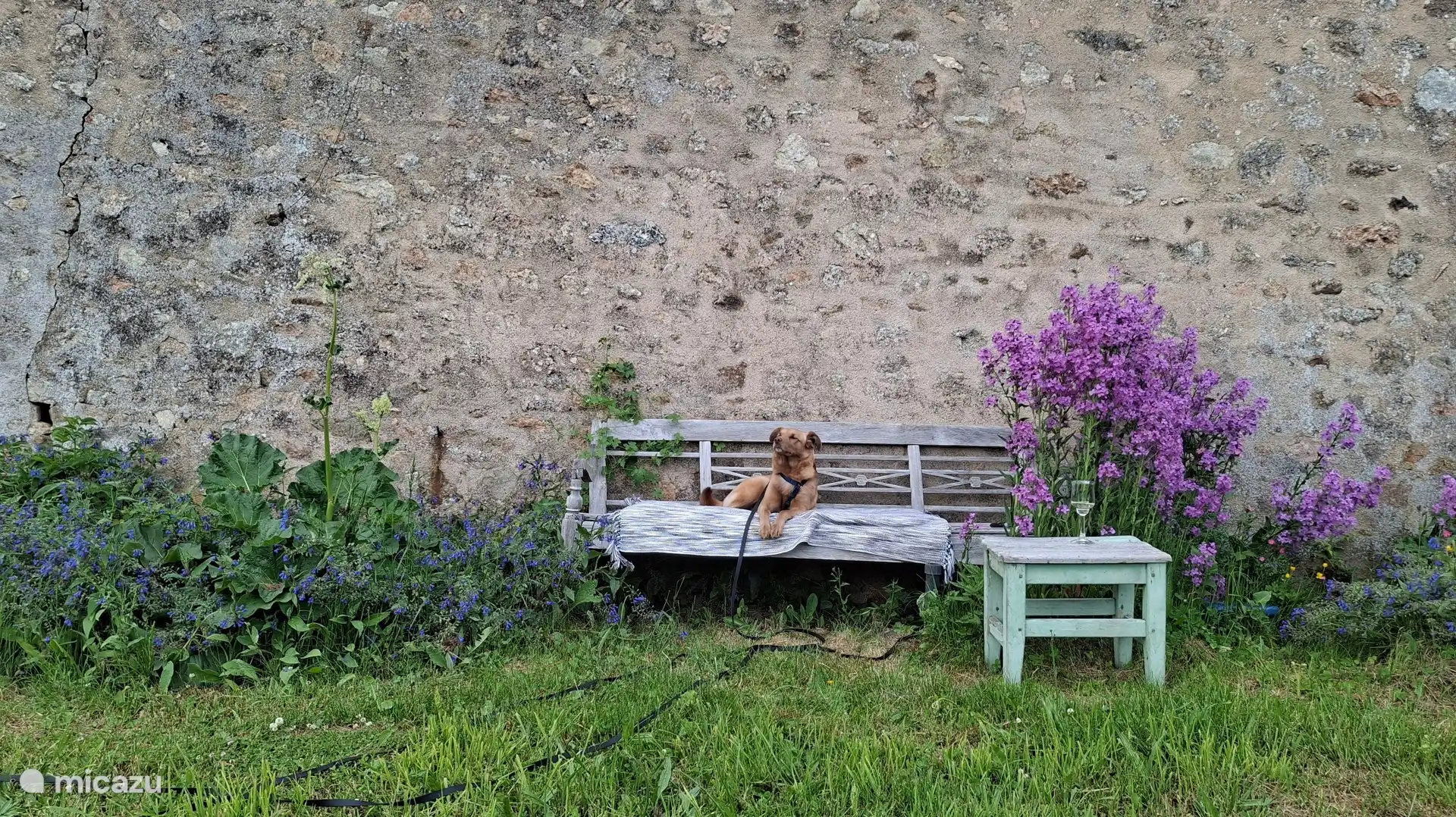Schönster Platz in der Abendsonne