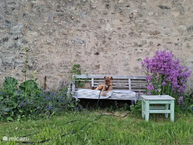 La Maison de la Forêt huren in Frankrijk, Nièvre, Ouroux-en-Morvan - boerderij Fijnste plekje in het avondzonnetje