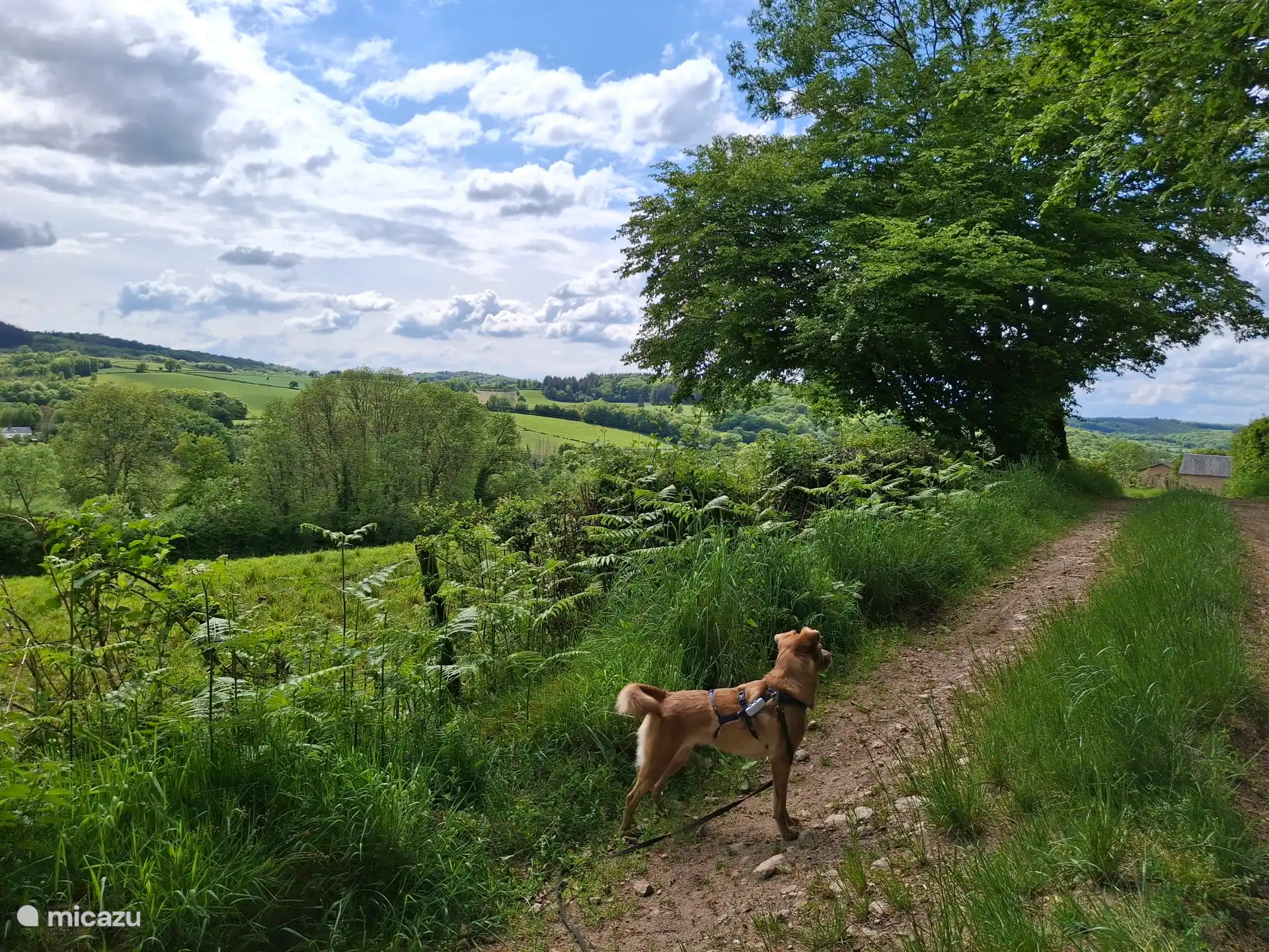 Le chemin le long de la maison ; Au loin, notre Grange