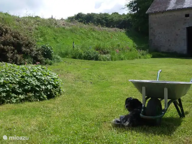 La Maison de la Forêt huren in Frankrijk, Nièvre, Ouroux-en-Morvan - boerderij -