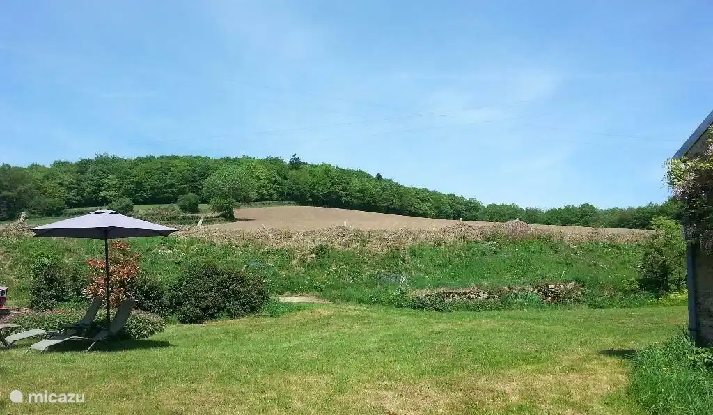 Tuin met het naastgelegen pad, dat uitloopt in het bos.