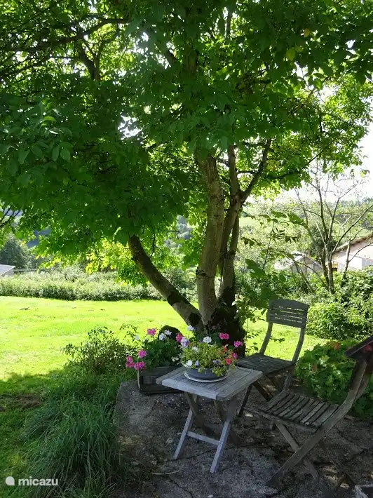 Zitje op het terras voor het huis, in de schaduw van de walnotenboom.