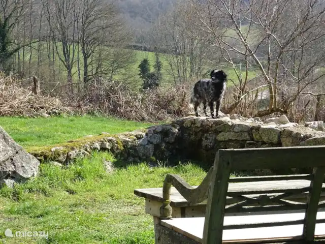 La Maison de la Forêt huren in Frankrijk, Nièvre, Ouroux-en-Morvan - boerderij Zitje in de tuin